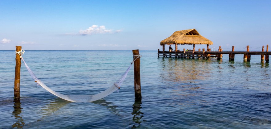 Cozumel beach hammock