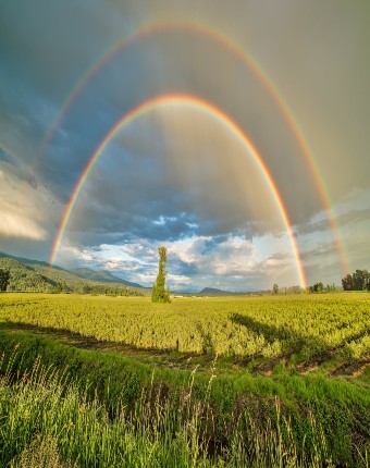 Rainbow at the Hill