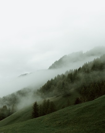 Foggy Mountains